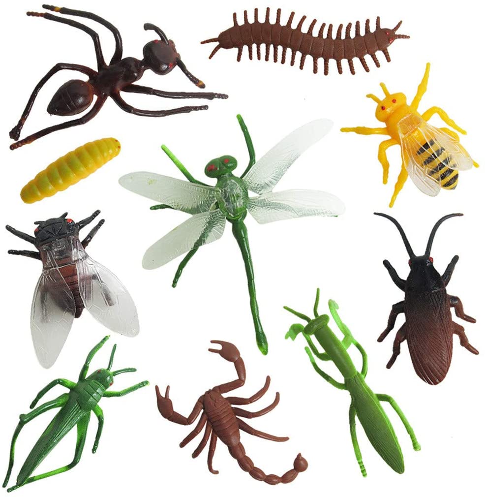 10971 - MAQUETA INSECTOS 10971 - MAQUETA INSECTOS